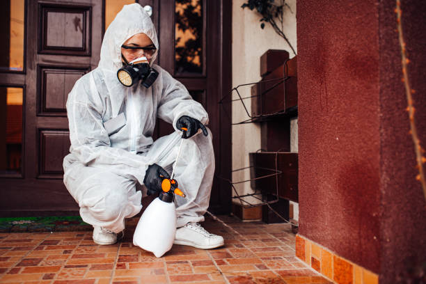 Reliable Cockroach Control contractor in Homewood, SC by Nex Pest Control