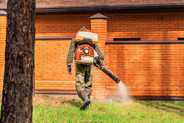 Top rated local Cockroach Control specialists in Homewood, SC